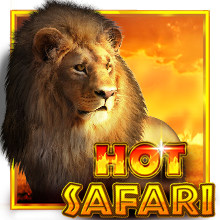 Hot Safari